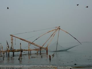Cochin-shoreline-fishing